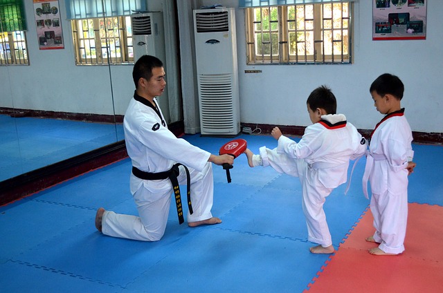 Martial Arts Jigsaw Mats Can Be Performance Enhancement