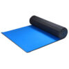 Blue Carpet Rollout Mats